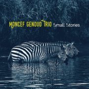 Moncef Genoud Trio - Small Stories (2023)
