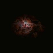 Emmerhoff and The Melancholy Babies - The Dying of the Light (2025) [Hi-Res]