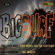 VA - Big Surf (1991)