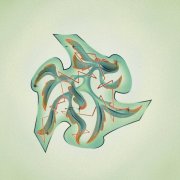 Scibor - Searching for Colors (2026)