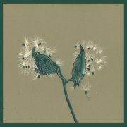 David Longstreth - Song Of The Earth - Instrumentals (2025) [Hi-Res]