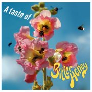Bitter Honey - A Taste Of Bitter Honey (2026) [Hi-Res]