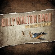 Billy Walton Band - Wish For What You Want (2014)