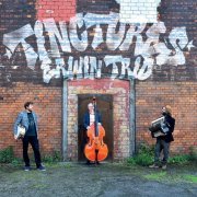 Erwin Trio - Tinctures (2022)
