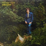 Dave Sands - One Sweet Reason (2022) [Hi-Res]