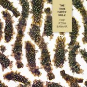 The True Harry Nulz with Edi Nulz & The Great Harry Hillman - Fur Fish Banana (2023) [Hi-Res]