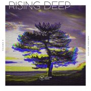 VA - Rising Deep Vol. 3 (2025)