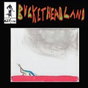 Buckethead - Quieting The Thoughts That Don't Serve (Pike 627) (2024)