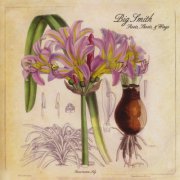 Big Smith - Roots, Shoots, & Wings (2009)