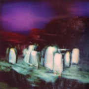 Buzzy Lee - Shoulder to Shoulder (2026)