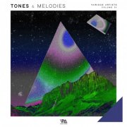 VA - Tones & Melodies Vol. 31 (2025)