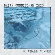 Brian Cunningham Trio - No Small Wonder (2021)