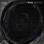 VA - Raw Moods Vol. 3 (2026)