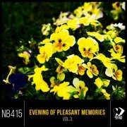 VA - Evening of Pleasant Memories, Vol. 3 (2025)