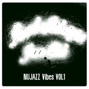 VA - Nu Jazz Vibes, Vol. 1 (2020)