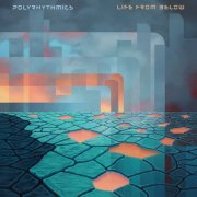 Polyrhythmics - Life from Below (2025) [Hi-Res]