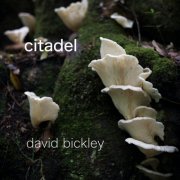 David Bickley - Citadel (2025)