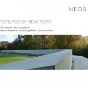 D.M. Visotzky, Béatrice Zawodnik - Pictures of New York (2011)