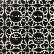 Josh Feinberg, Anindo Chatterjee - One Evening in Spring (2014)
