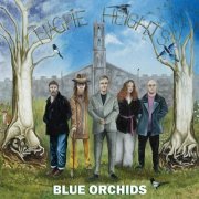 Blue Orchids - Magpie Heights (2024)