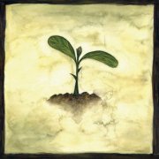 The Singer Is Always Late - Stories Of The Spring (2020)