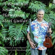 Joel Katz - A Beautiful Sound of Hawaiian Steel Guitar (2019)