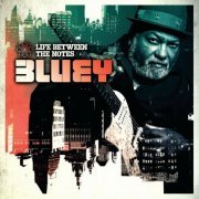 Bluey - Life Between the Notes (2015)