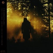 Thundercat - The Beyond / Where the Giants Roam [Japanese Edition] (2015)