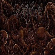Vulnificus - Inclination (2025)