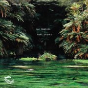 Joe Kaptein - Pool Sharks (2025) Hi Res