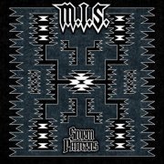 M.I.S. - Storm Patterns (2025) Hi-Res
