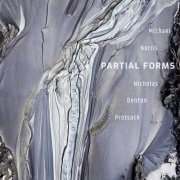 Nicholas Denton Protsack & Michael Norris - Partial Forms (2025) Hi-Res
