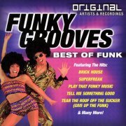 VA - Funky Grooves - Best of Funk (1999)