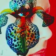 Julia Pratt, JULITH - This Is A Kindness (2026) [Hi-Res]