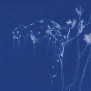 Joaquin Cornejo - Cabuya (2025) [Hi-Res]
