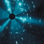 Laurel Halo - Midnight Zone (Original Soundtrack to the Film by Julian Charrière) (2026) [Hi-Res]