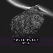 Pulse Plant - Still (2024)