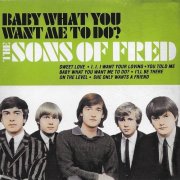 The Sons Of Fred – Baby What You Want Me to Do (2016)
