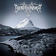 Borknagar - True North (2019) Hi Res