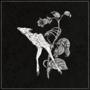 Suicide Forest - World of Decay (2026)