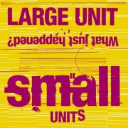 Large Unit - Large Unit: Small Units: What Just Happened? (2026) [Hi-Res]