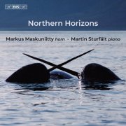 Markus Maskuniitty & Martin Stürfalt - Northern Horizons (2025) [Hi-Res]