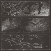 VA - Blue Hour presents TERRA (2025)