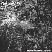 Compulsed - Amalgamated Anguish (2025) Hi-Res