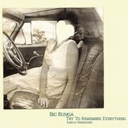 Bic Runga - Try To Remember Everything (2008)