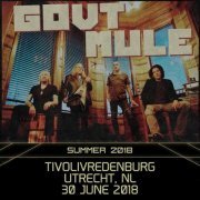 Gov't Mule - 2018-06-30 - TivoliVredenburg, Utrecth, NL (2018) Hi-Res