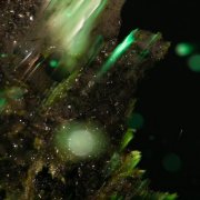 Abraham - Idsungwüssä (2025) Hi-Res