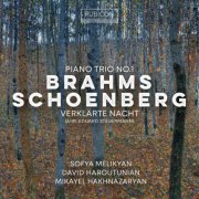 Sofya Melikyan, David Haroutunian, Mikayel Hakhnazaryan - Brahms: Piano Trio No. 1 - Schoenberg: Verklärte Nacht (2024) [Hi-Res]