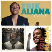 Erik Aliana - Discography (2011-2016)