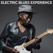 VA - Electric Blues Experience (2023)